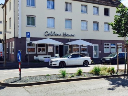 照片: Goldene Henne